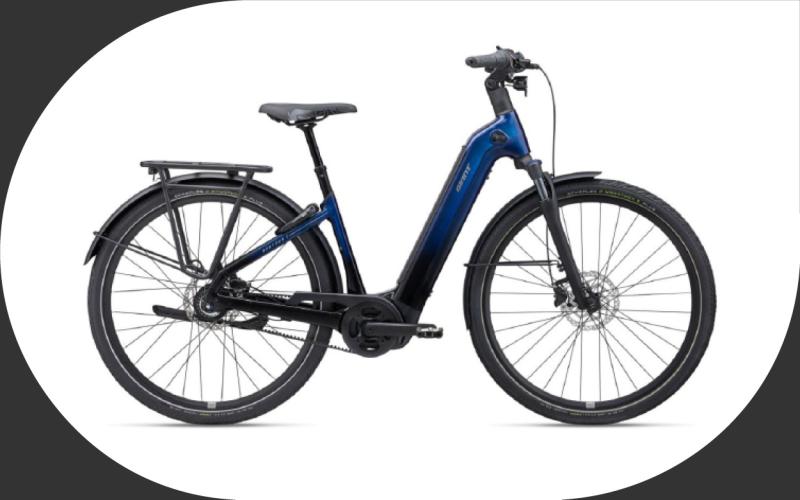 <p>Waar wil je vandaag rijden? De mogelijkheden zijn bijna eindeloos met deze veelzijdige e-bike die een wereld van mogelijkheden opent. Dagelijks woon-werkverkeer, uitstapjes naar de markt of langere tochten in het weekend.&nbsp;</p>
